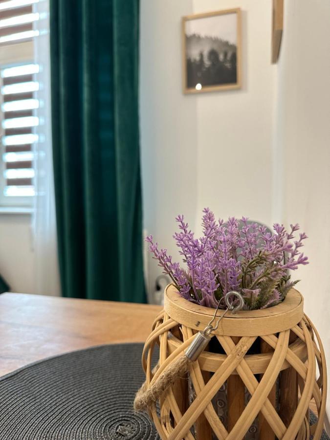 Apartament Zielony Kollataja Tomaszów Mazowiecki Eksteriør bilde